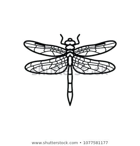 450x470 Dragonfly Scan Technology Logo Vector Element Animal Stencil