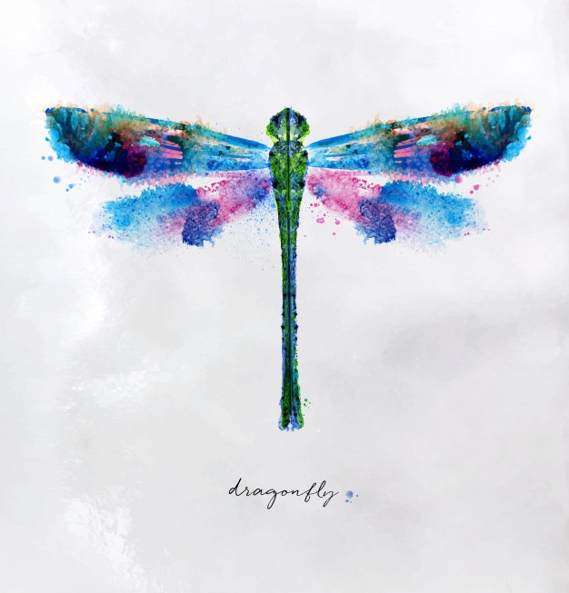 626x653 Dragonfly Vectors, Photos And Free Download