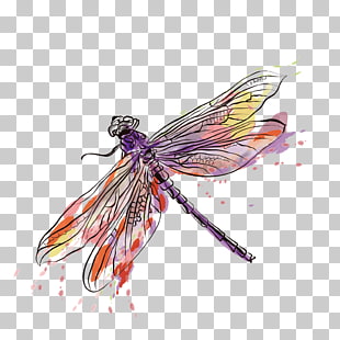 310x310 Dragonfly Vector Png Cliparts For Free Download Uihere