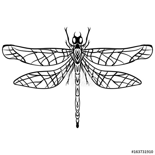 500x500 Hand Drawn Sketch Dragonfly Vector Tattoo Stock Image And Royalty