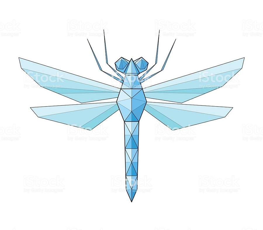 900x788 Illustration, Design, Graphics, Line, Wing, Leaf, Art Png Clipart