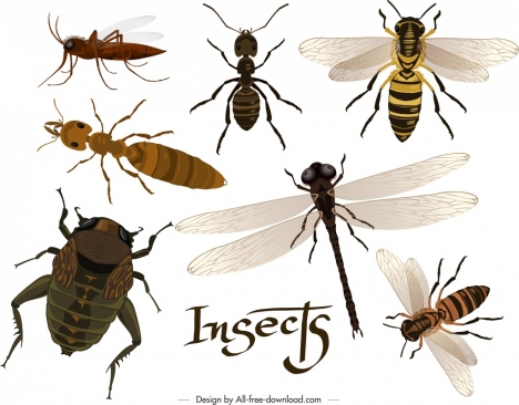 468x366 Insects Background Ants Dragonfly Bee Bug Icons Decor Vectors