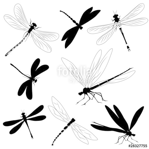 500x500 Set Of Silhouettes Of Dragonflies, Tattoo Stock Image And Royalty