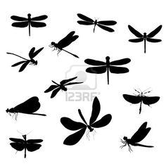 236x236 Silhouette Dragonfly Tattoo