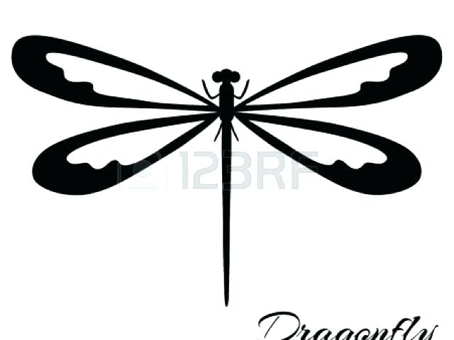 640x480 Free Dragonfly Clipart