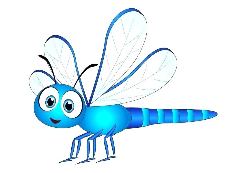 800x600 Free Dragonfly Clipart Remotelearners Club