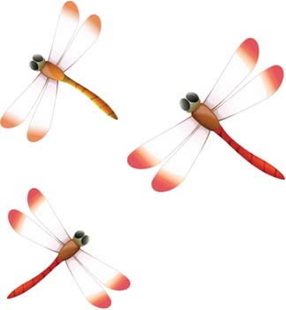 324x350 Dragonfly Free Vectors Ui Download