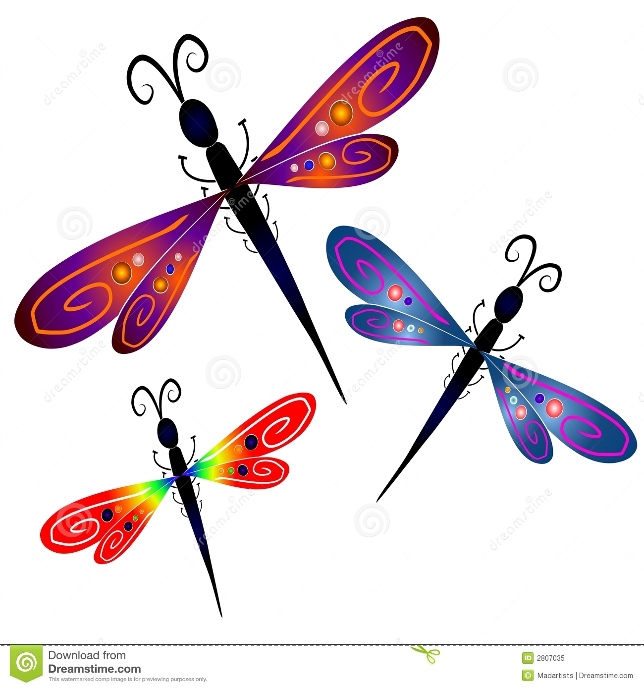 dragonfly illustration vector free download