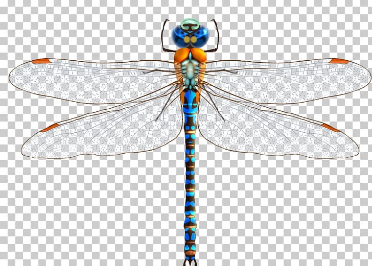 728x521 Dragonfly Drawing Png, Clipart, Abstract Ma, Encapsulated