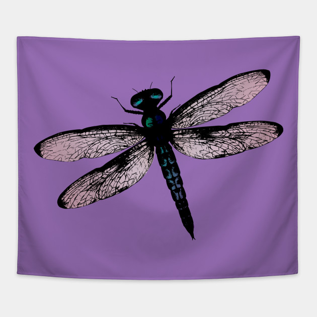 Dragonfly Vector Image