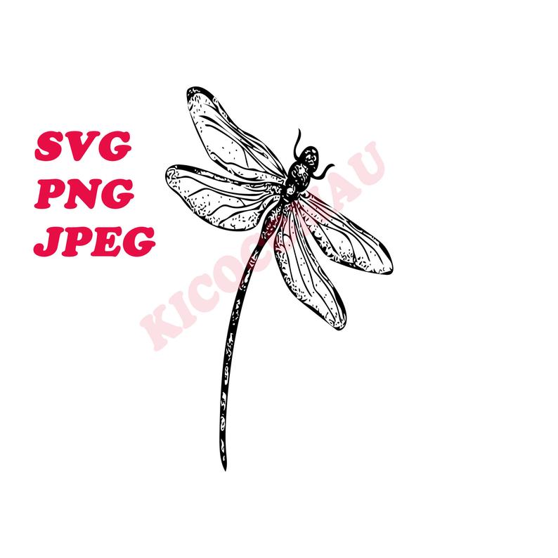 794x794 Dragonfly Vector Silhouette Etsy