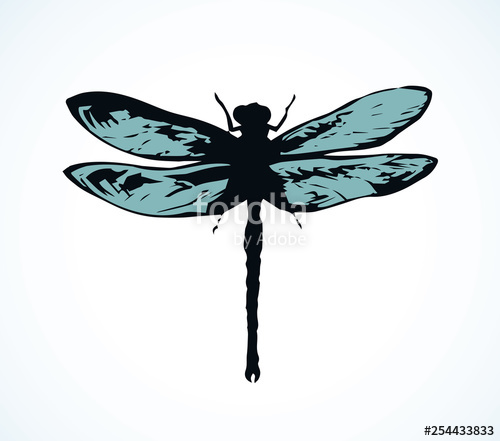 500x441 Dragonfly Vector Drawing Stock Image And Royalty Free Vector
