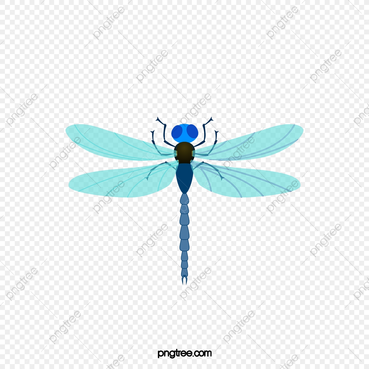 1200x1200 Light Blue Dragonfly, Vector Material, Insect, Beneficial Insects