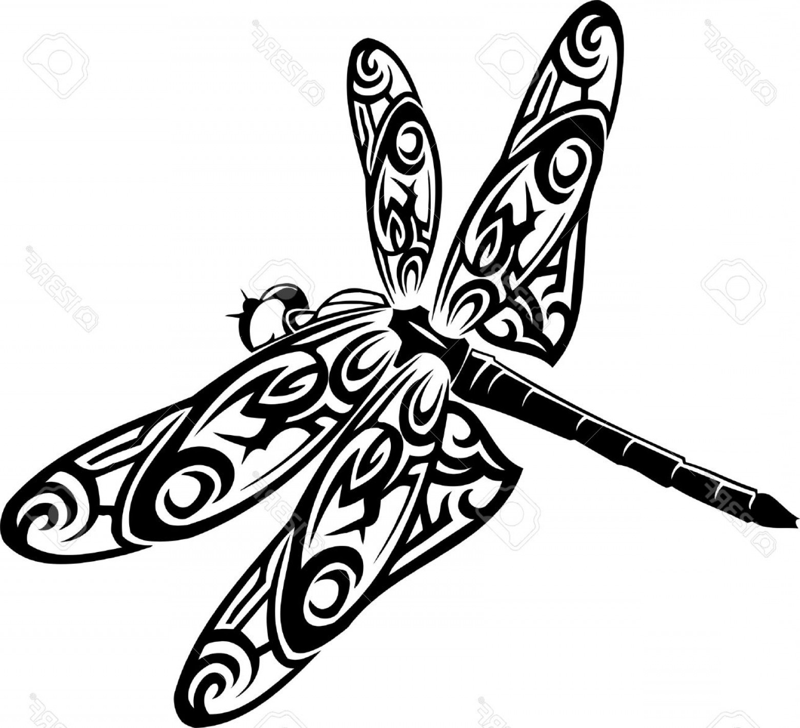 1560x1419 Photodragonfly Vector Illustration Ready For Vinyl Cutting