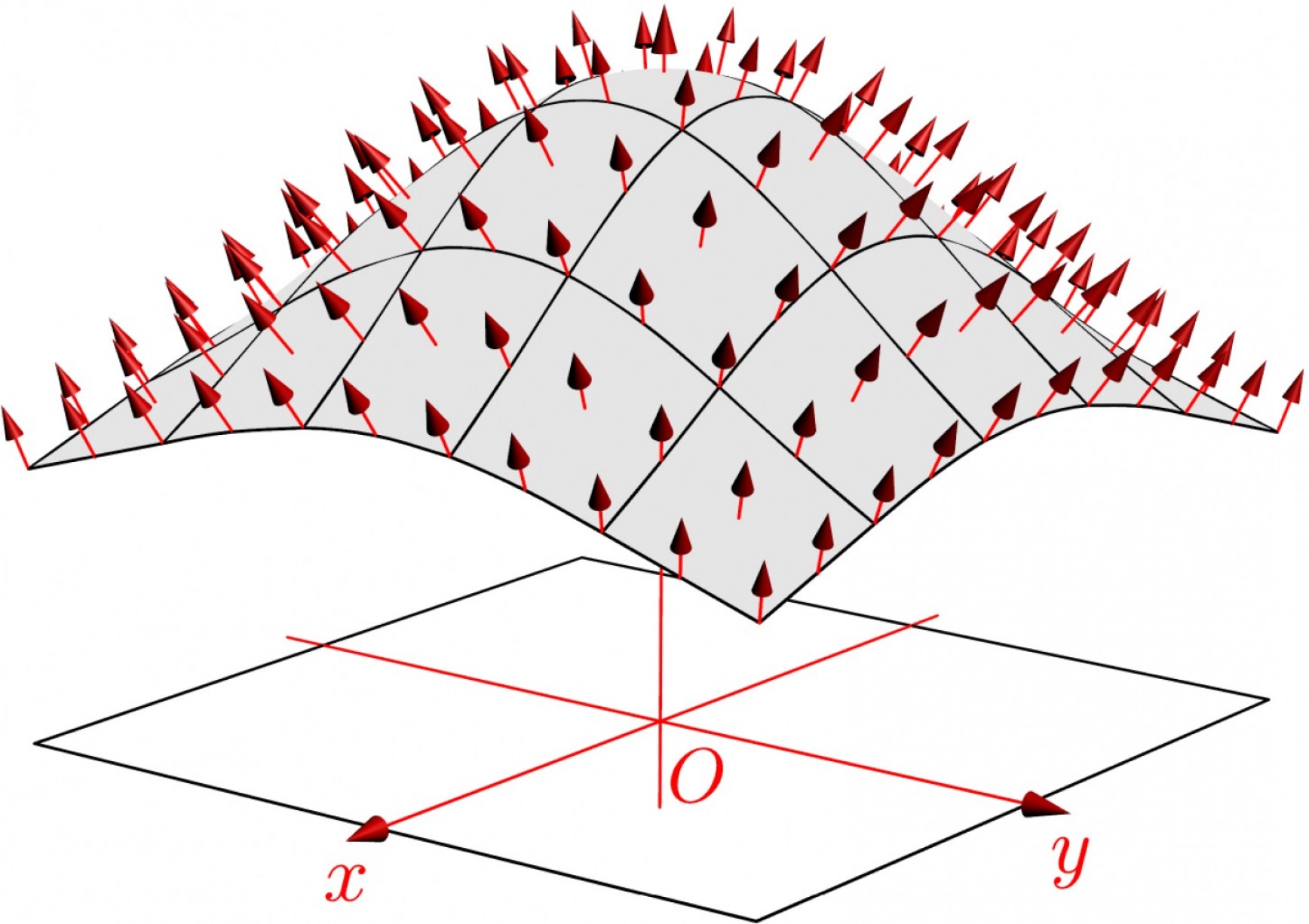 Draw Vector Field at Collection of Draw Vector Field