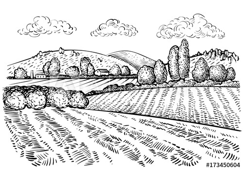Rural Landscape, Handdrawn Inked Sketch Style Illustration Hand 500x351 Rural Landscape, Handdrawn Inked Sketch Style Illustration Hand