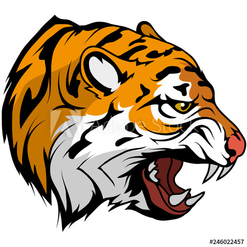 Tiger Head Vector Drawing, Tiger Face Drawing Sketch, Tiger Head 500x500 Tiger Head Vector Drawing, Tiger Face Drawing Sketch, Tiger Head