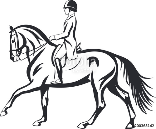 Dressage Horse Drawing at PaintingValley.com | Explore collection of ...