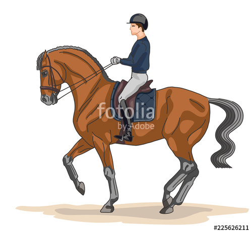 500x462 Equestrian, Dressage A Vector Illustration Of A Rider On A Horse