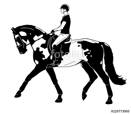 500x437 Equestrian, Dressage Vector Illustration Of A Rider On A Horse
