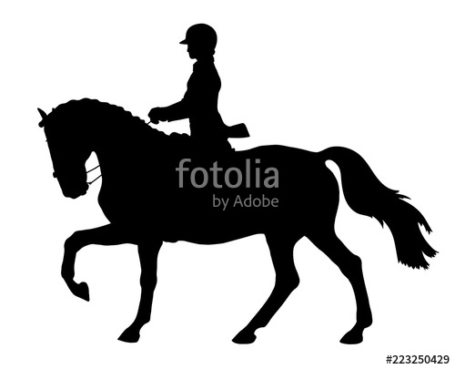 500x405 A Silhouette Of A Dressage Rider Cantering On A Horse Stock