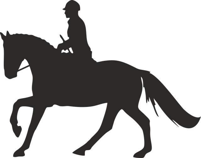 640x504 Ride Dressage Equestrianfree Vector Graphic