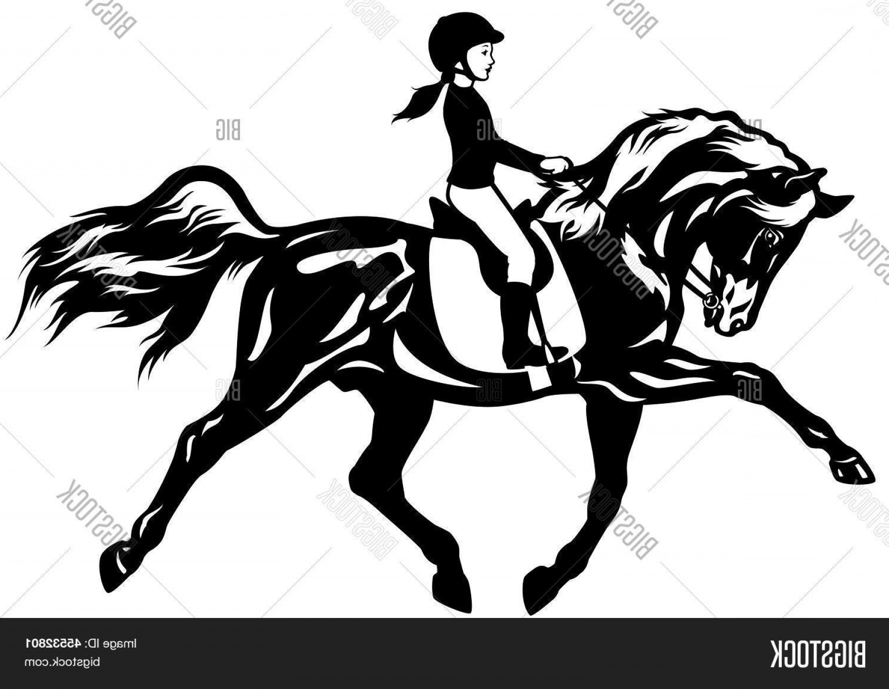 1800x1396 Western Horse Vector Art Soidergi