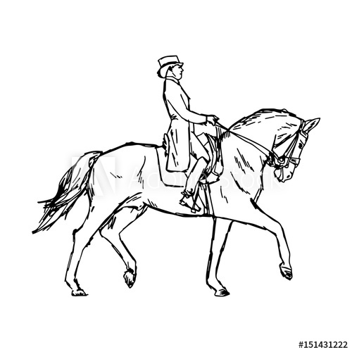 Dressage Vector at Vectorified.com | Collection of Dressage Vector free ...