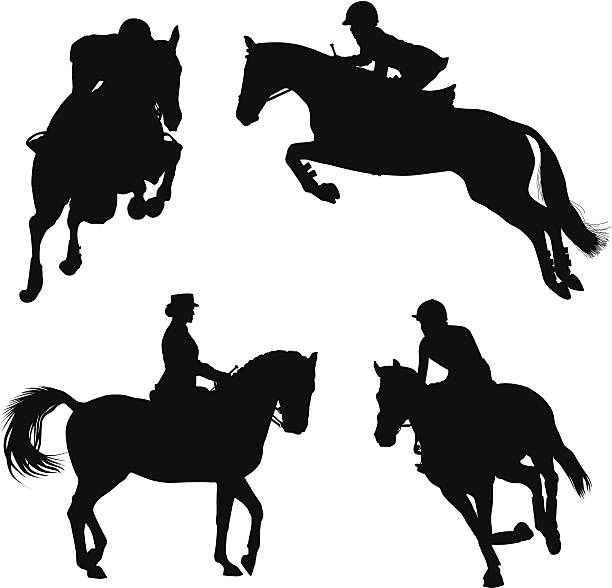 612x588 Dressage Horse Clipart