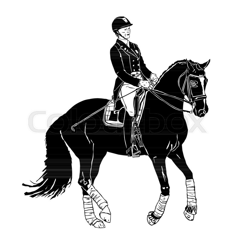 791x800 Dressage Horse Illustration Stock Vector Colourbox
