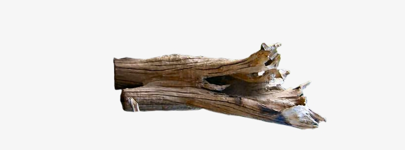 Driftwood Vector at Vectorified.com | Collection of Driftwood Vector ...