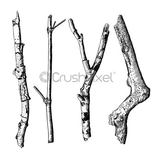 500x500 Hand Drawn Wood Twig Set, Ink Rustic Design Elements Collection