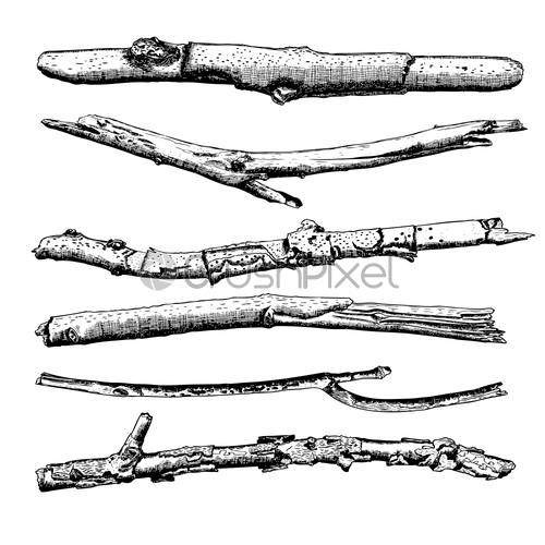 500x500 Set Of Driftwood, Ground Floor Hand Drawn Ink Rustic Design, Stock