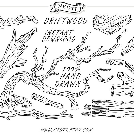 570x570 Tree Branch Clip Art