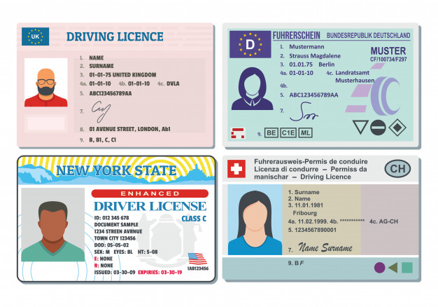 626x438 Driver License Vector Premium Download