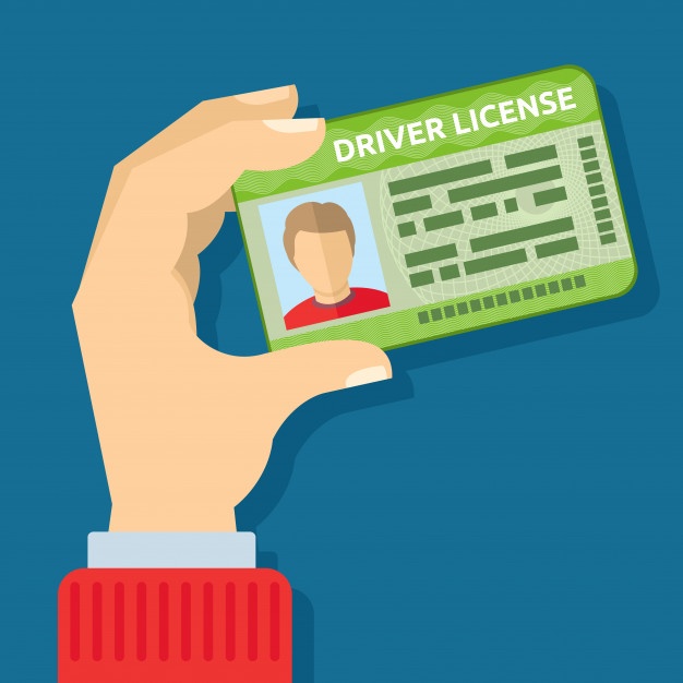 626x626 Driver License Illustration Vector Free Download