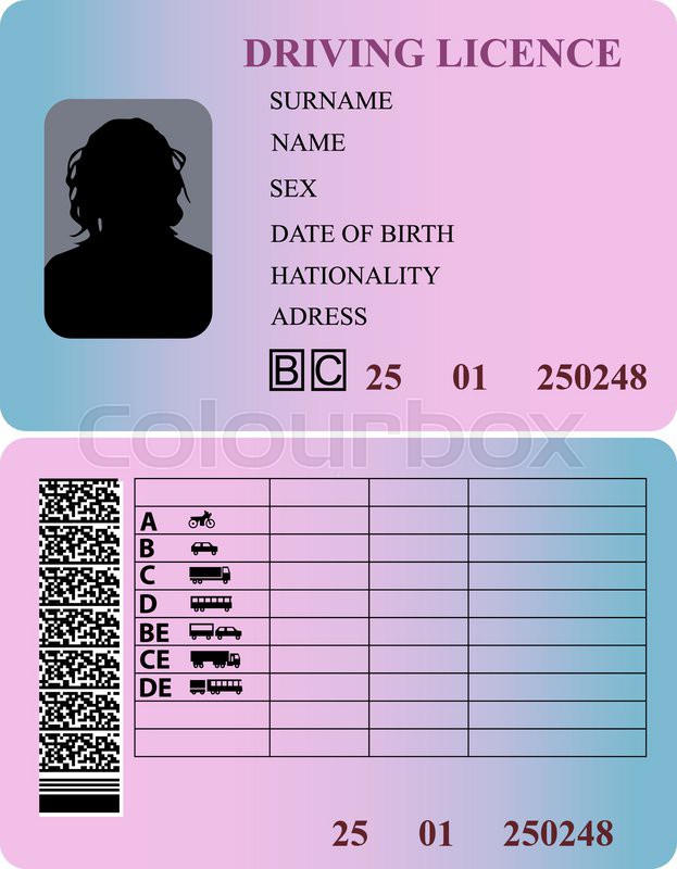 623x800 Driving License Woman Vector Stock Vector Colourbox