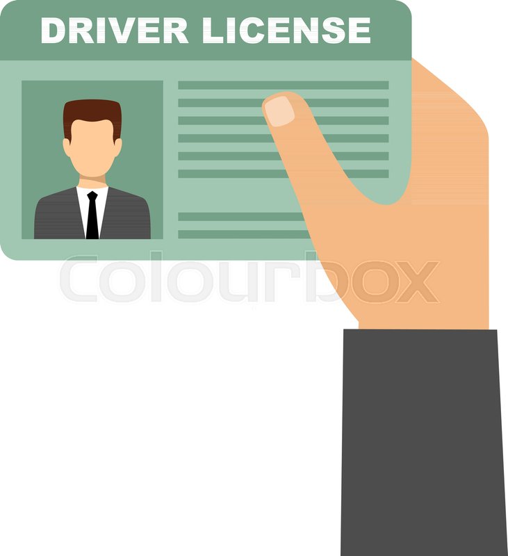731x800 Man Hand Holding Car Driving License Stock Vector Colourbox