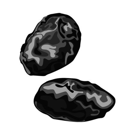 450x450 Vector Illustration Of Plum And Dry Icon Set Of Plum And Ripe