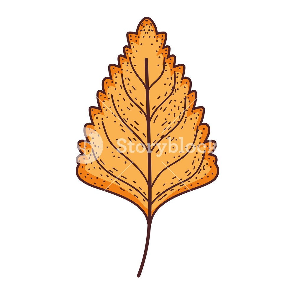 1000x1000 Leaf Dry Isolated Icon Vector Illustration Design Royalty Free