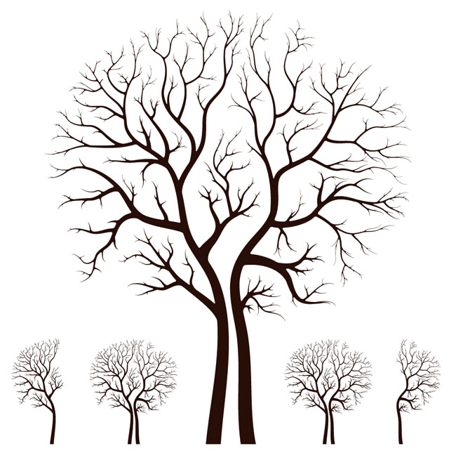 650x645 Leafless Autumn Tree Design Vector