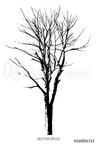 334x500 Vector Of Tree, Silhouette Dry Tree On White Background