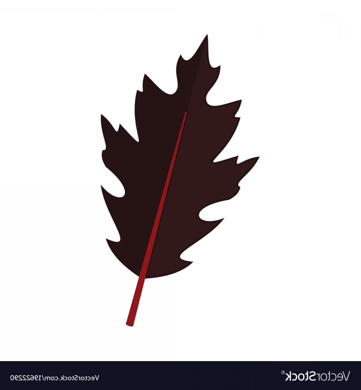 1200x1296 Dark Dry Oak Leaf Graphic Vector Cqrecords