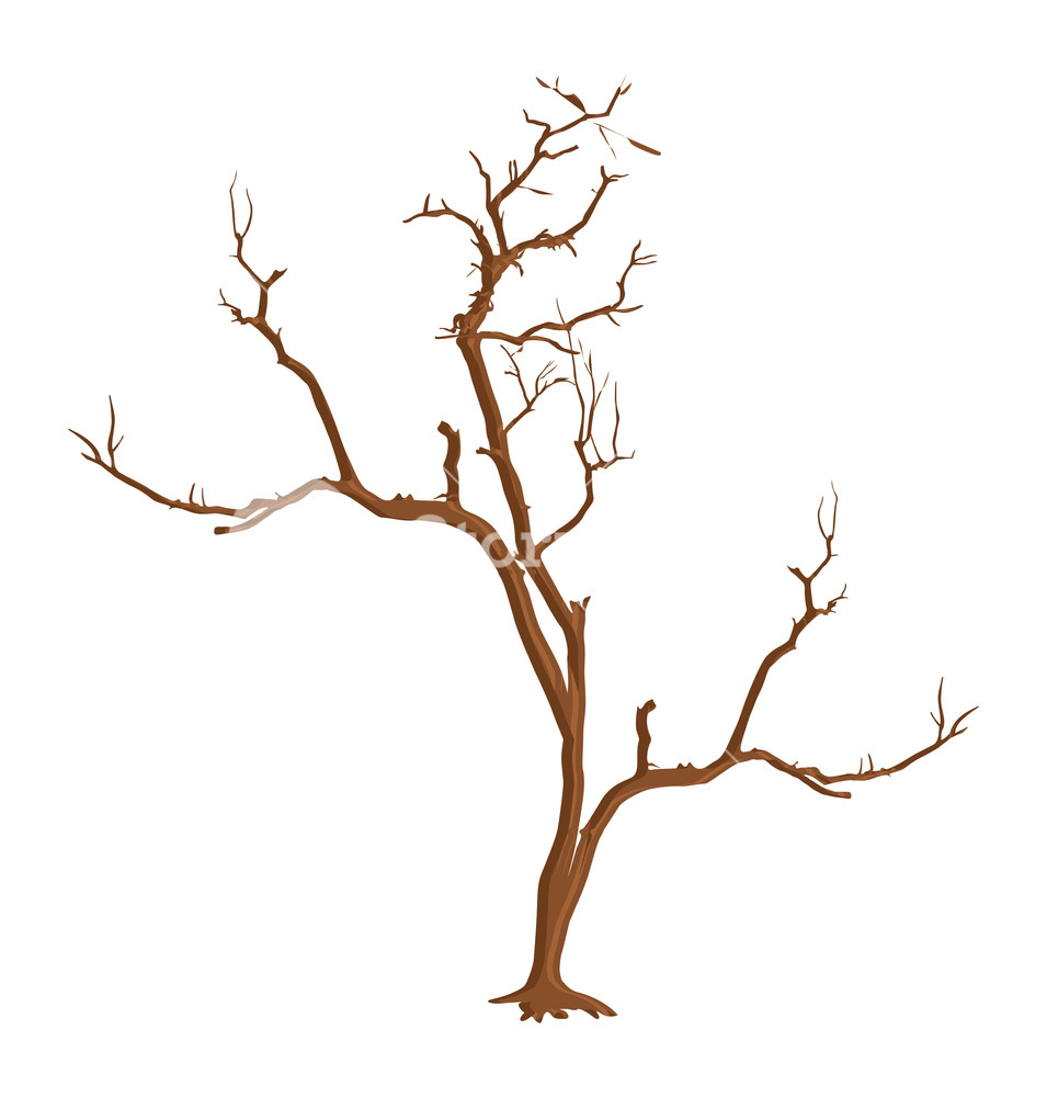 955x1000 Dry Dead Tree Shape Vector Royalty Free Stock Image