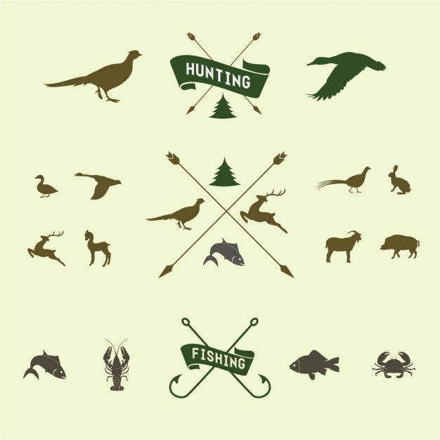 Duck Hunting Vectors, Photos And Free Download 626x626 Duck Hunting Vectors, Photos And Free Download