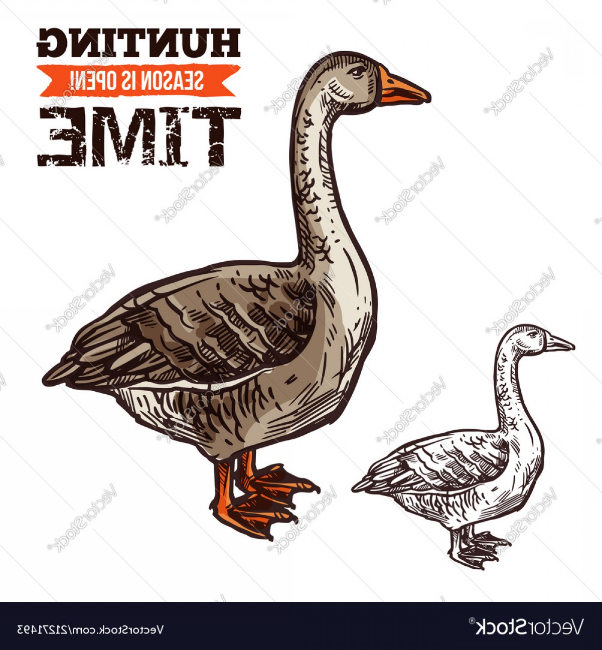1200x1296 Goose Wild Bird Sketch For Hunting Sport Design Vector Newwaysys