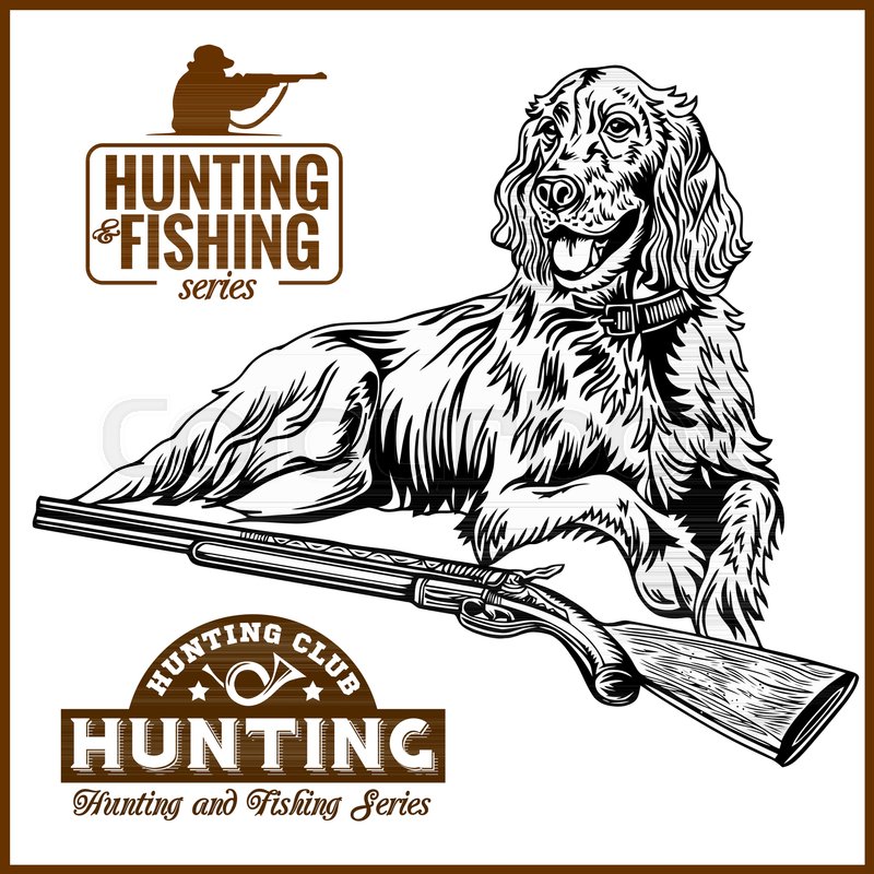 Dog Of A Duck Hunt Nature A Vector The Stock Vector Colourbox 800x800 Dog Of A Duck Hunt Nature A Vector The Stock Vector Colourbox