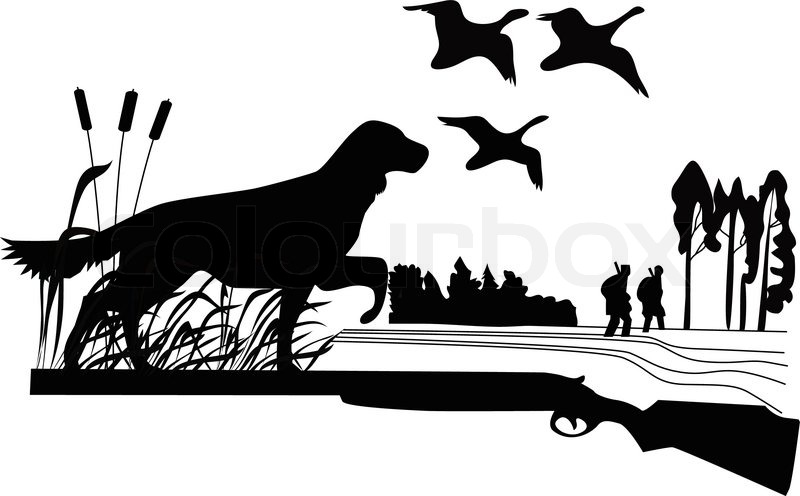 Dogs Of A Duck Hunt Nature A Vector Stock Vector Colourbox 800x496 Dogs Of A Duck Hunt Nature A Vector Stock Vector Colourbox