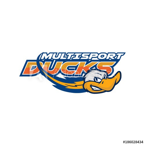 500x500 Duck Logo Vector Art