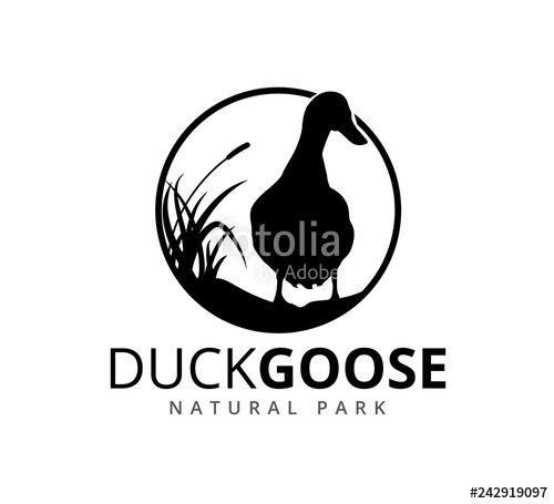 500x455 Duck Or Goose With Grass Savannah Vector Logo Illustration Stock